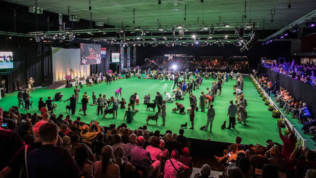 The Hond Event will again take place at the WTC Expo in Leeurwarden.