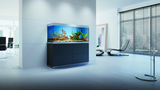 The new PET worldwide is out