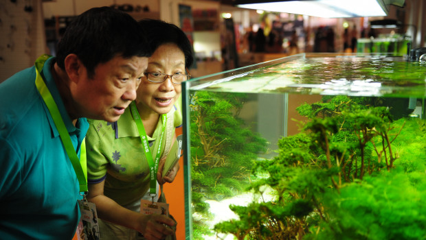 The aquatics category is growing at Pet Fair Asia.