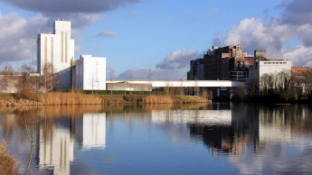 Small animals on a big scale