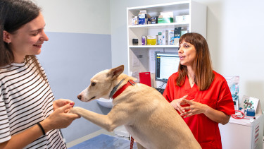 The hidden cost of caring