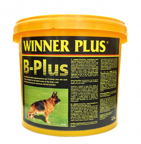Winner Plus