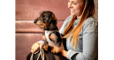 Harness specialists from Switzerland