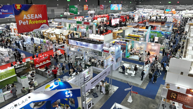 447 exhibitors from 37 countries presented their businesses at the 2025 Bangkok Fair. 447 exhibitors from 37 countries presented their businesses at the 2025 Bangkok Fair.