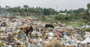 Pet industry rallies again for Plastic Recovery July