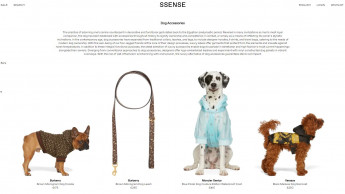Ssense fashion platform launches dog collection