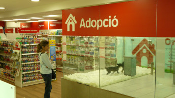Provincial administration endeavours to stop sale of pets
