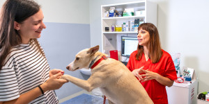 The hidden cost of caring