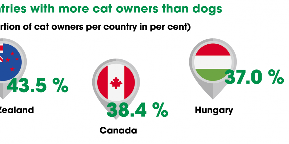 Source: Euromonitor International, © Dähne Verlag
