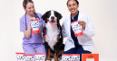 Pooch & Mutt launches at-home gut health testing for Dogs