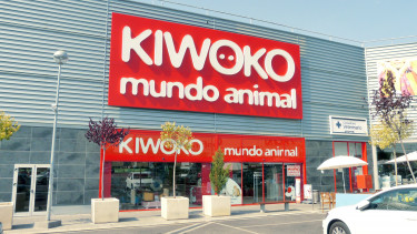 Key players in the sector