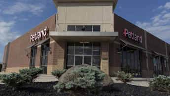 Petland moves up 41 positions