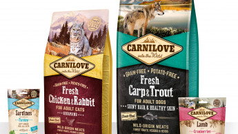 New Carnilove Fresh Meat