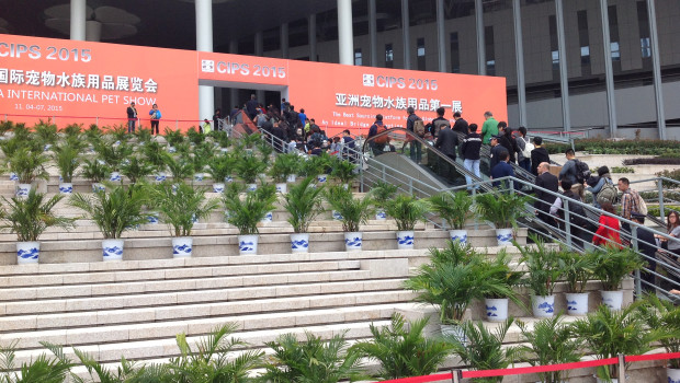 Visitors in abundance at the CIPS. Visitors in abundance at the CIPS.