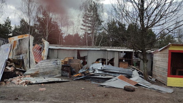 The “Best Friends” animal shelter in the Kyiv region was hit twice by air attacks and countless artillery shells.