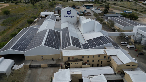 The entire roof of Montego’s head office in Graaff-Reinet is covered with photovoltaic panels. 