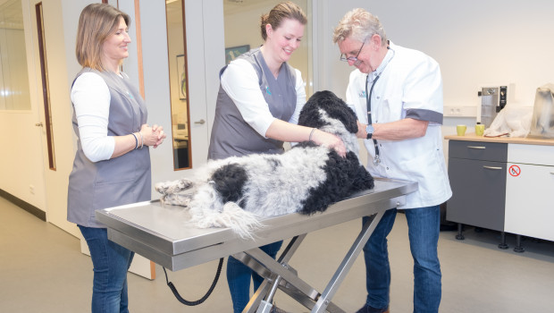 For Prins Petfoods, the opening of EduVet is a new step in sharing knowledge and experience.