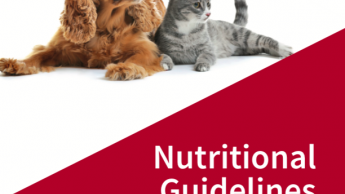 Fediaf introduces the latest nutritional guidelines