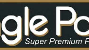 Pioneers in the 1980s, leaders today