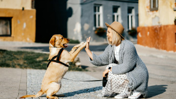 "Future-proof pet food needs added value"