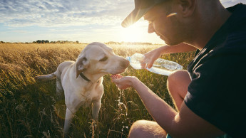 Purina donates 25 000 dollars