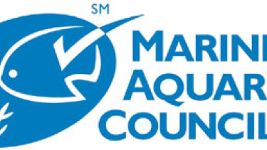 Standards for a sustainable marine aquarium trade