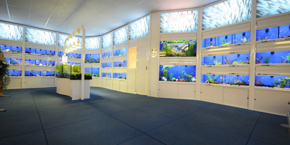 Casco Europe's, aquariums
