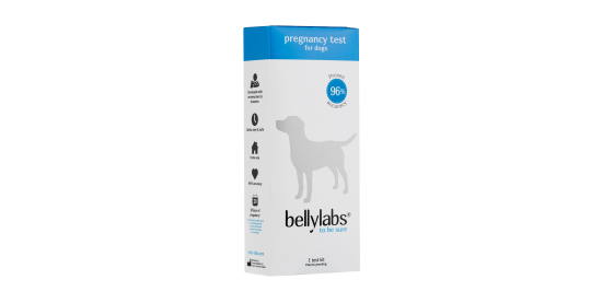 Bellylabs