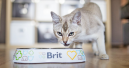 Brit Care’s latest innovations for cats