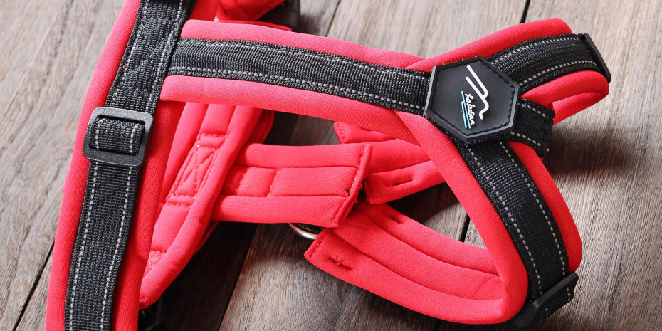 Nordic dog harnesses are a coreitem for the Hakusan brand.