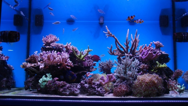 Aqua Project Award Aqua Project Award