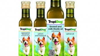 Dietary supplements for dogs