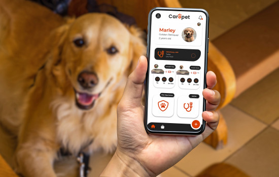 Carepet is a platform that collects health data from dogs and cats, including for veterinarians.