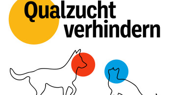 ZZF calls for legally binding list of criteria