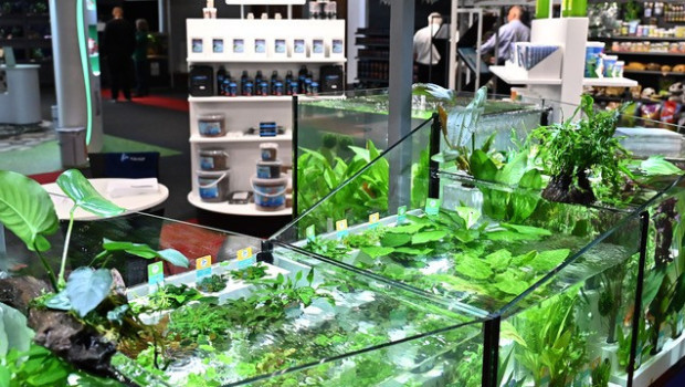 According to the organisers, the aquarium industry will be bigger than ever at this year's Pats.