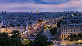 Dogs live their best life in Paris