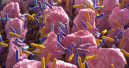 Purina Institute drives the dialogue on the microbiome