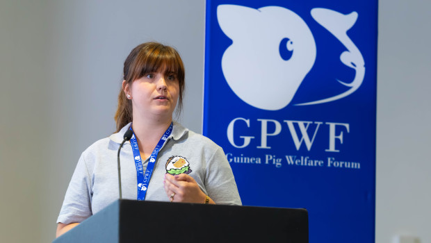 Hannah Messer during her keynote presentation at the Guinea Pig Welfare Forum 2026. Hannah Messer during her keynote presentation at the Guinea Pig Welfare Forum 2026.