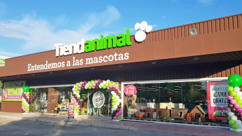 20 new openings in 2020