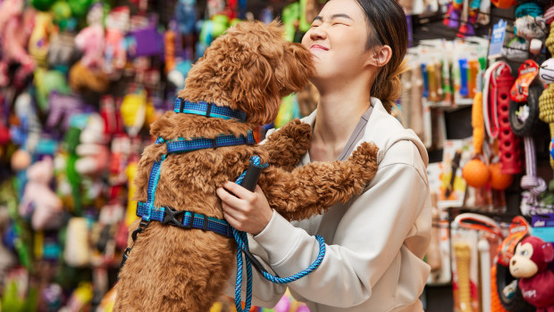 Pet Valu and Caddle reveal research showing Canadians are staying loyal to pet spending even as they tighten the leash on other expenses. Pet Valu and Caddle reveal research showing Canadians are staying loyal to pet spending even as they tighten the leash on other expenses.