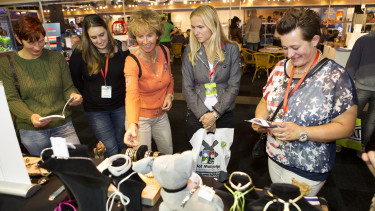 Everything for groomers