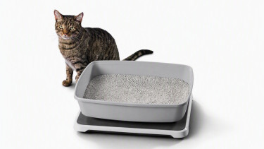 Smart litter box monitor spots renal behaviour profile