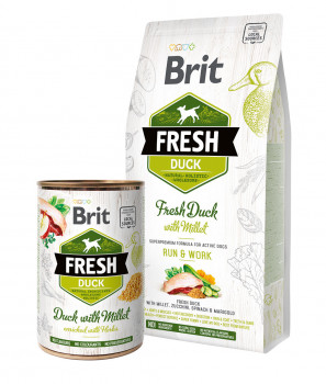 VAFO PRAHA, Brit Fresh