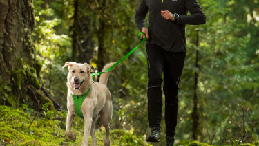 Ruffwear celebrates major sales success