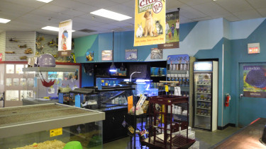 Petland among top-ranked franchises in the USA