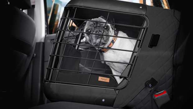 Jollyes on sale pet carrier