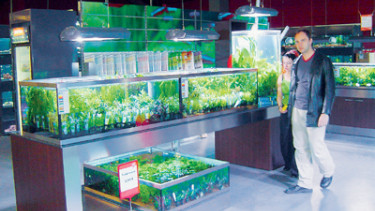 Modern flagship store in Dortmund