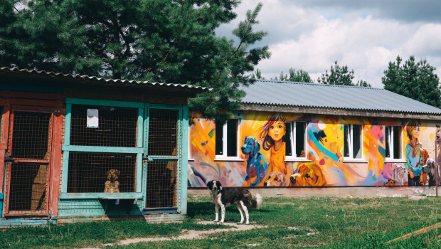 The rebuilt shelter was designed by the Kailas-V creative group, which has produced more than 70 murals in Ukraine and abroad since 2002.