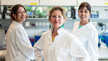 Ethical “mouse mousse”