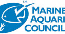Standards for a sustainable marine aquarium trade